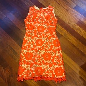 New York & Co crochet lace sheath dress
